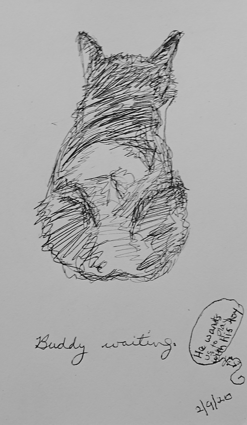 07C5BC86-A3E5-4277-92EA-DC8308DBBD85_1_201_a